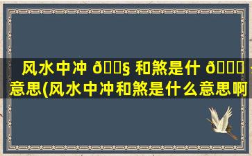 风水中冲 🐧 和煞是什 🍁 么意思(风水中冲和煞是什么意思啊)